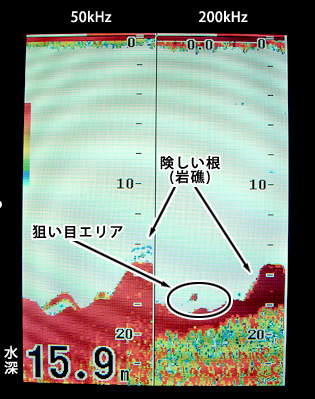 マダコ狙いのイメージ画像。根の中にある砂れき…という感じの海底を探ってみよう。