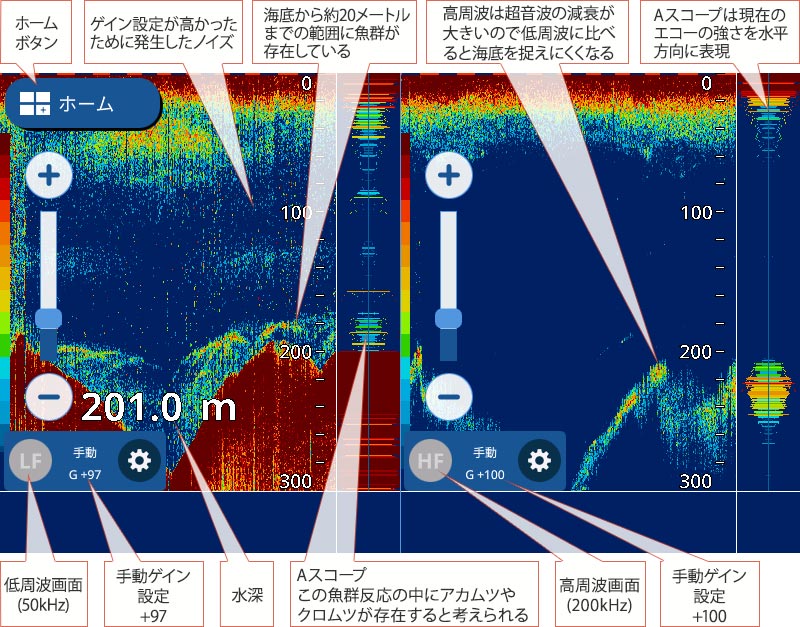 アカムツを追う vol.2：魚探映像例