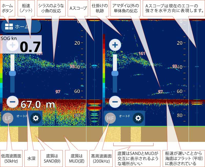 アマダイを追う vol.6 GPS魚探映像