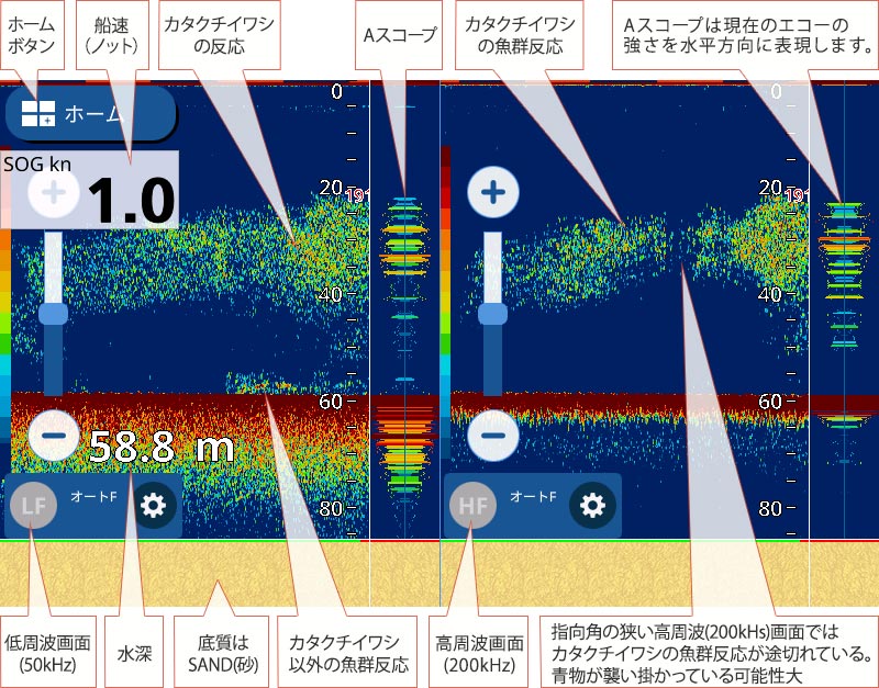 魚群反応に密度の高い所と、低い所が存在するときは、釣りのチャンスタイムである可能性大