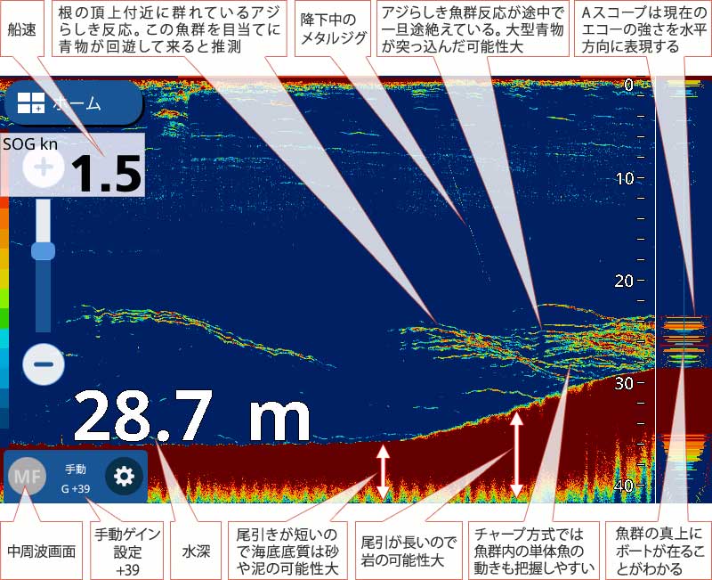 青物を追う vol.5 魚探映像