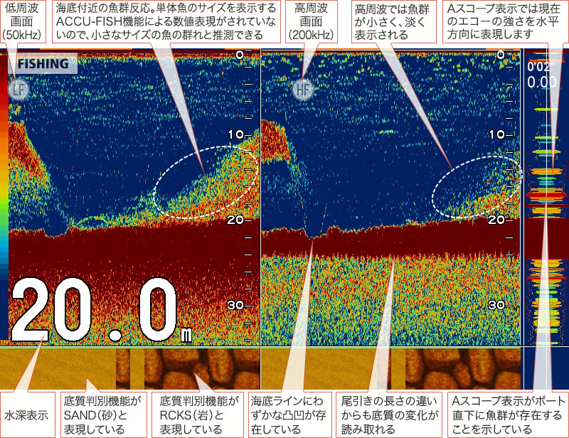 アオリイカを追う vol.5：魚探画像