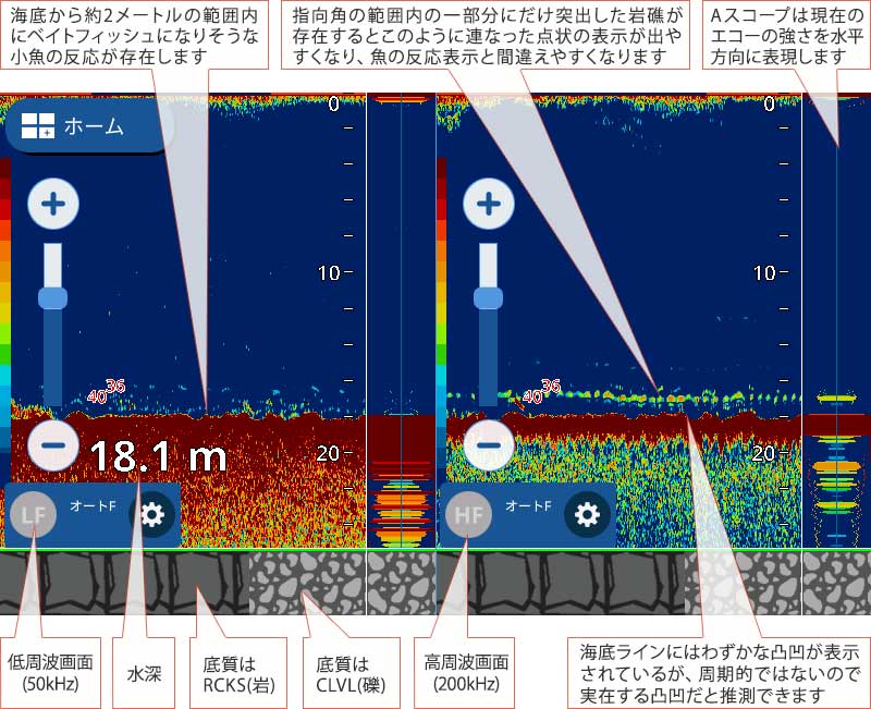 アオリイカを追う vol.7：魚探画像