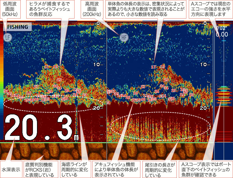 ヒラメを追う vol.6 GPS魚探映像