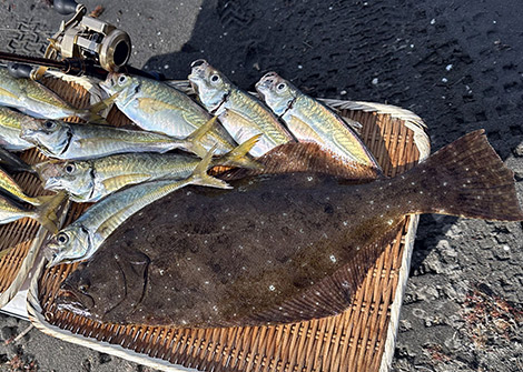 ヒラメを追う vol.8 釣果写真