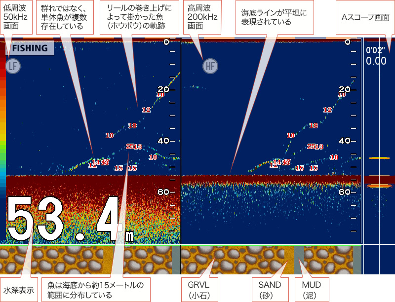 ホウボウを追う GPS魚探映像