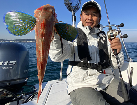 ホウボウを追う vol.2