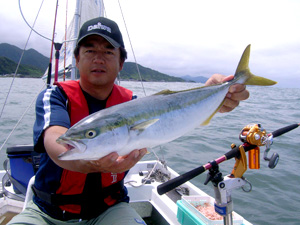 イナダ 魚種ごとの反応 Furuno Style 魚探を使った釣りの楽しみ方