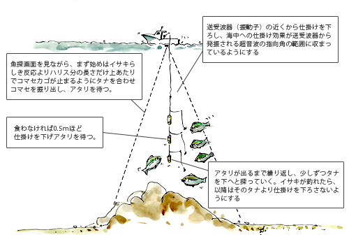 イサキを追う vol.2