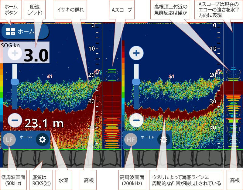 イサキを追う vol.7 GPS魚探映像