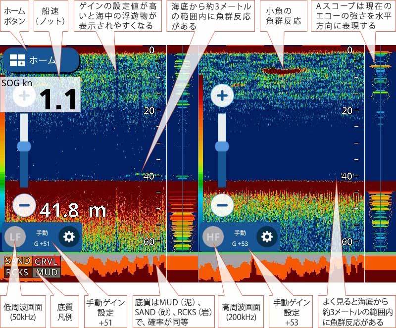 イトヨリダイを追う vol.2