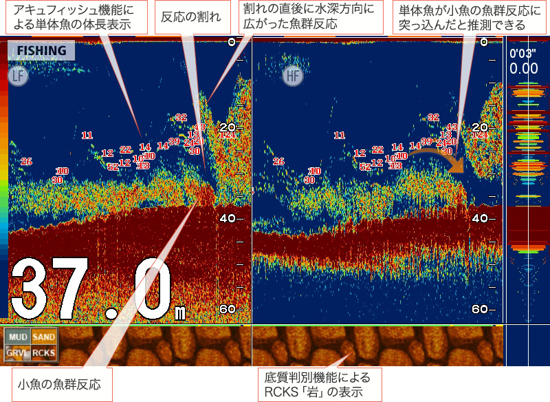 カンパチを追う vol.1 GPS魚探映像