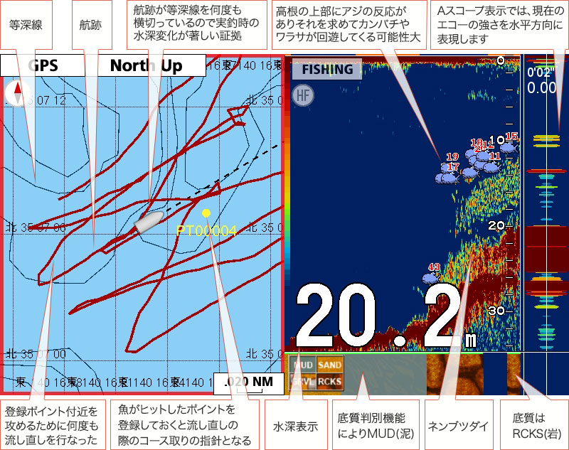 カンパチを追う Vol 2 魚種ごとの反応 Furuno Style 魚探を使った釣りの楽しみ方