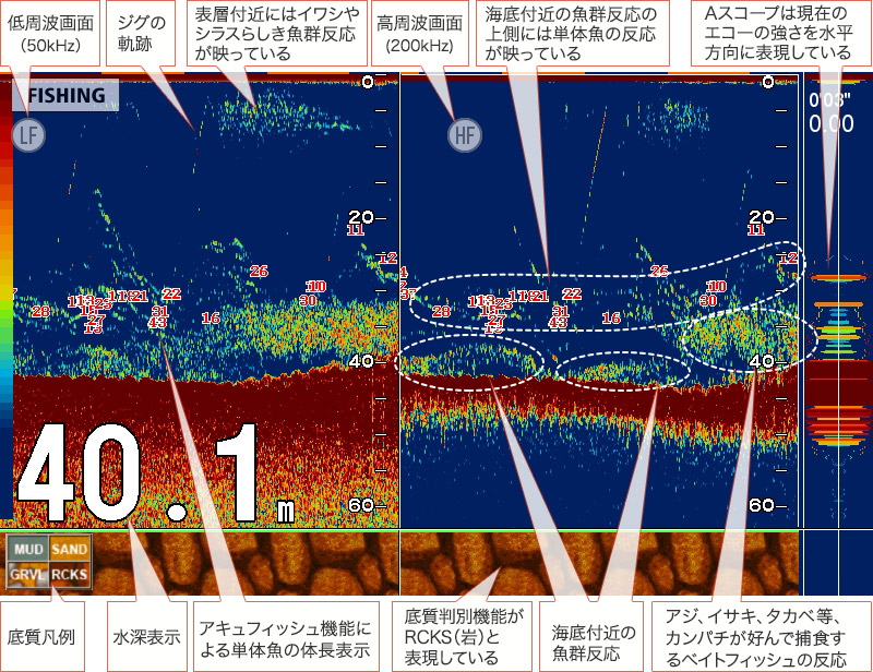 カンパチを追う vol.3 GPS魚探映像