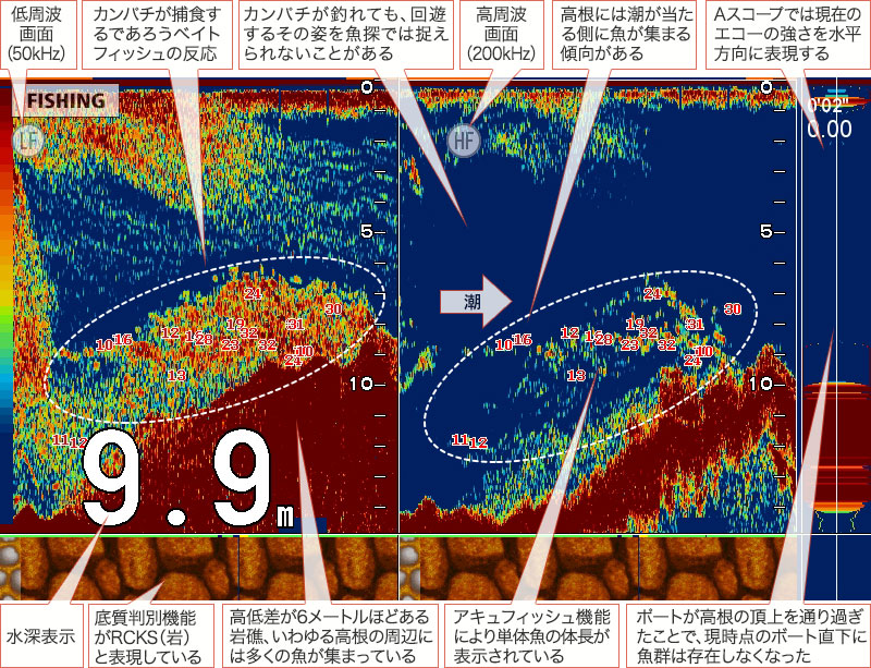 カンパチを追う vol.4 GPS魚探映像