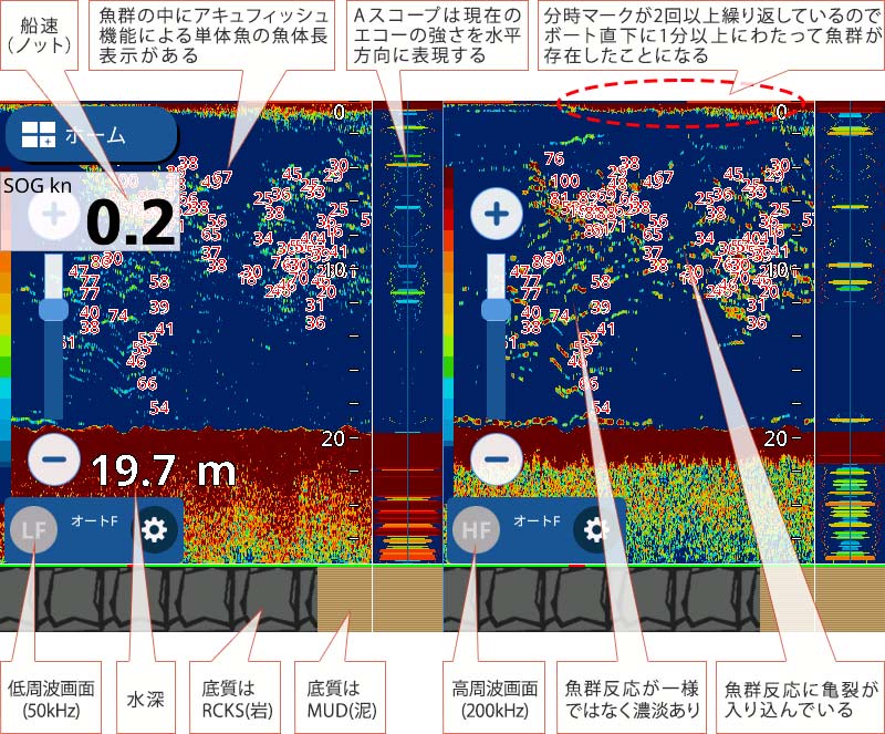 カンパチを追う vol.6 GPS魚探映像