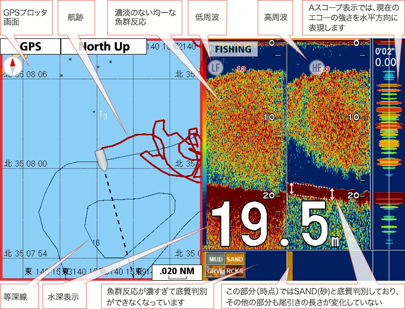 カタクチイワシを追う vol.2 GPS魚探映像