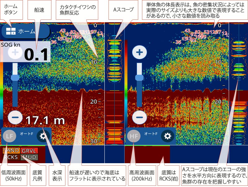 カタクチイワシを追う vol.3 GPS魚探映像