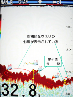 カワハギを追う vol.3 魚探映像