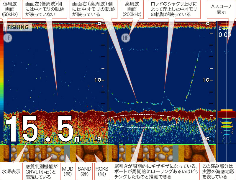 コウイカを追う vol.4 GPS魚探映像