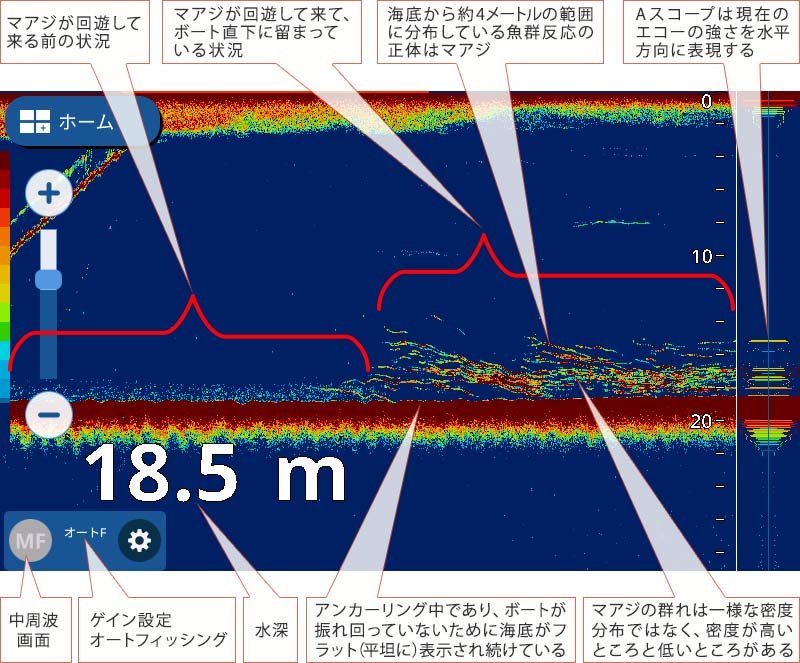 マアジを追う vol.10 魚探映像