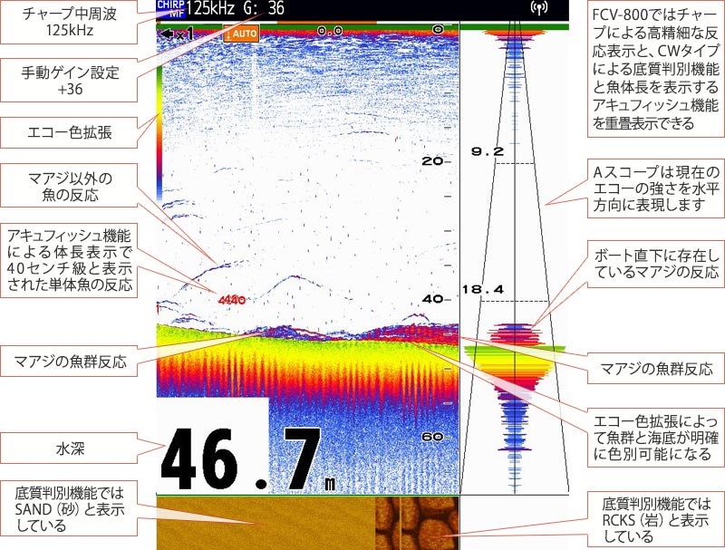 マアジを追う vol.13 魚探映像