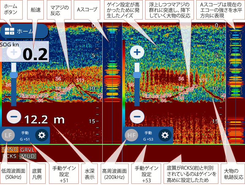 マアジを追う vol.7 魚探映像