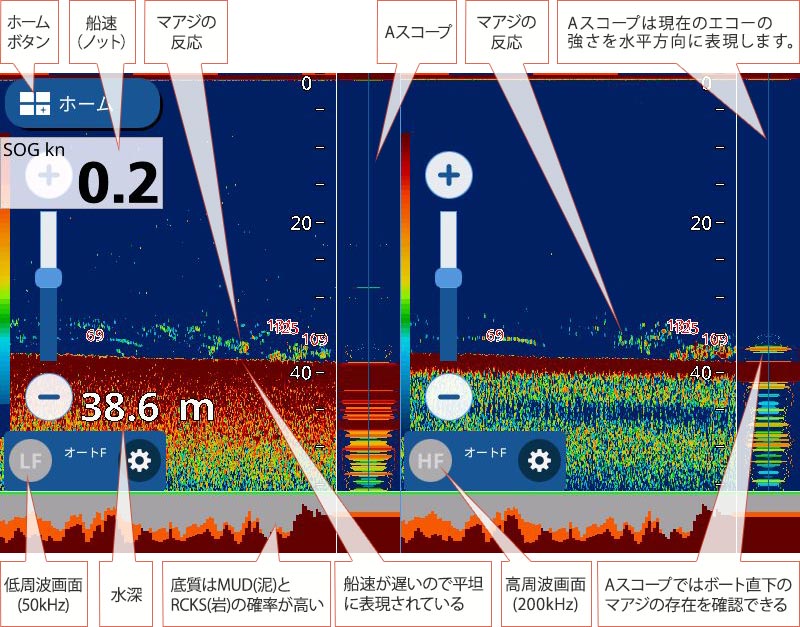 マアジを追う vol.8 魚探映像