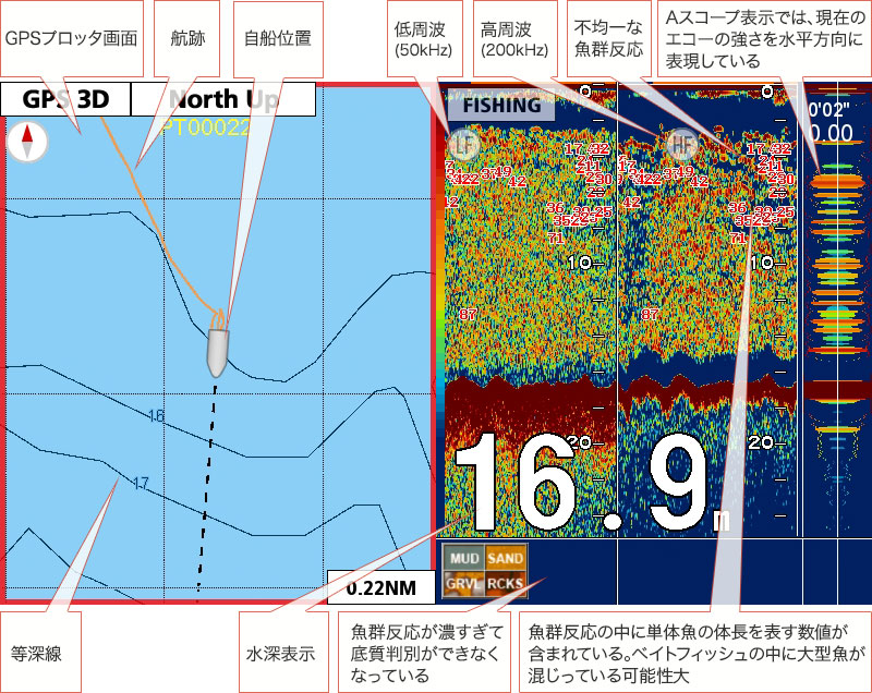 マダイを追う vol.11 GPS魚探映像