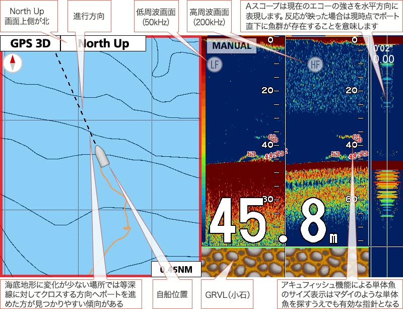 マダイを追う vol.12 GPS魚探映像