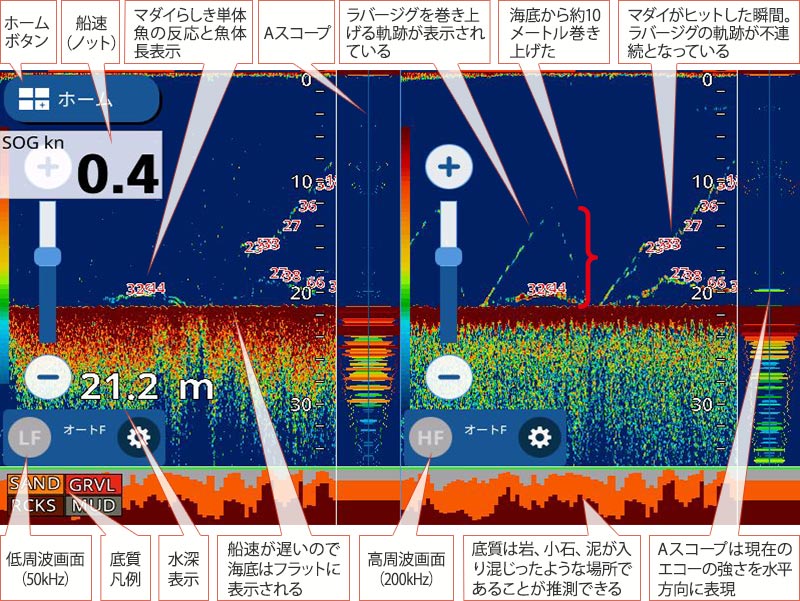 マダイを追う vol.13 GPS魚探映像