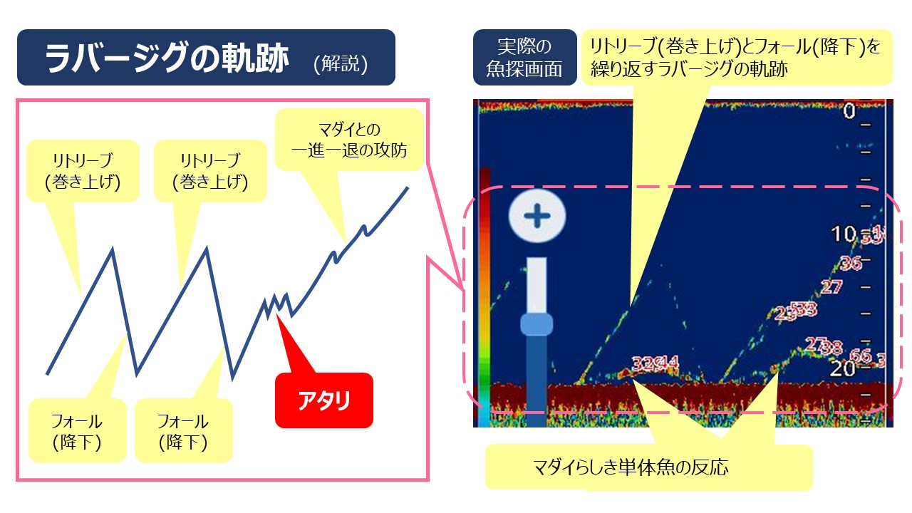 マダイを追う vol.13 解説画像