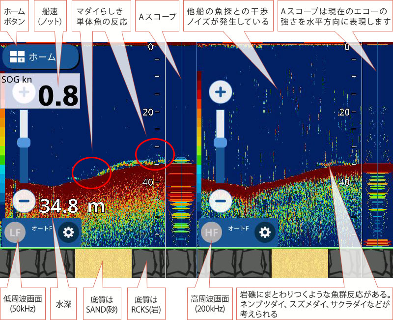 マダイを追う vol.14 GPS魚探映像