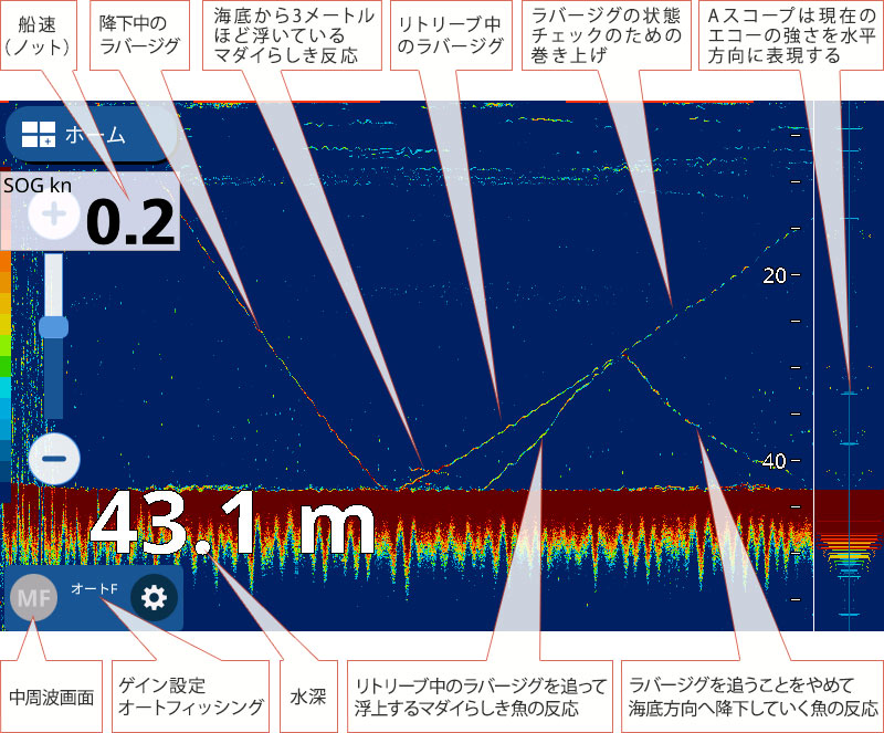 マダイを追う vol.15 GPS魚探映像