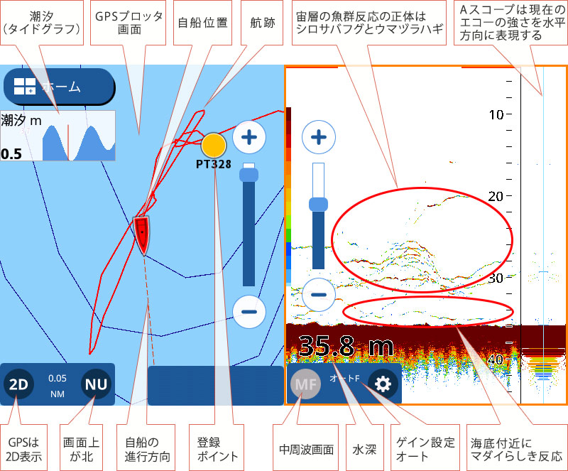 マダイを追う vol.16 GPS魚探映像