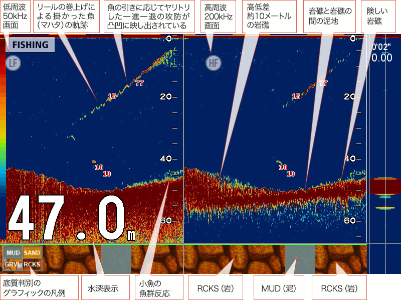 マハタを追う vol.2 魚探映像