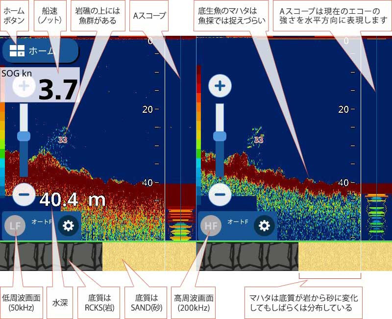 マハタを追う vol.3 魚探映像