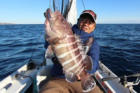 マハタを追う vol.3 釣果写真