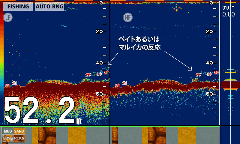 マルイカを追う Vol 3 魚種ごとの反応 Furuno Style 魚探を使った釣りの楽しみ方