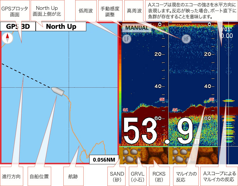 マルイカを追う vol.4 GPS魚探映像