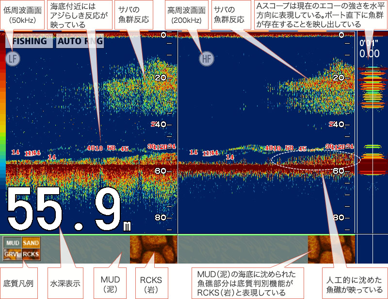 マサバを追う vol.1 魚探映像