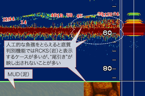 マサバを追う vol.1 水中画像