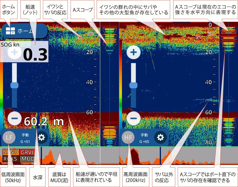 マサバを追う vol.2 魚探映像