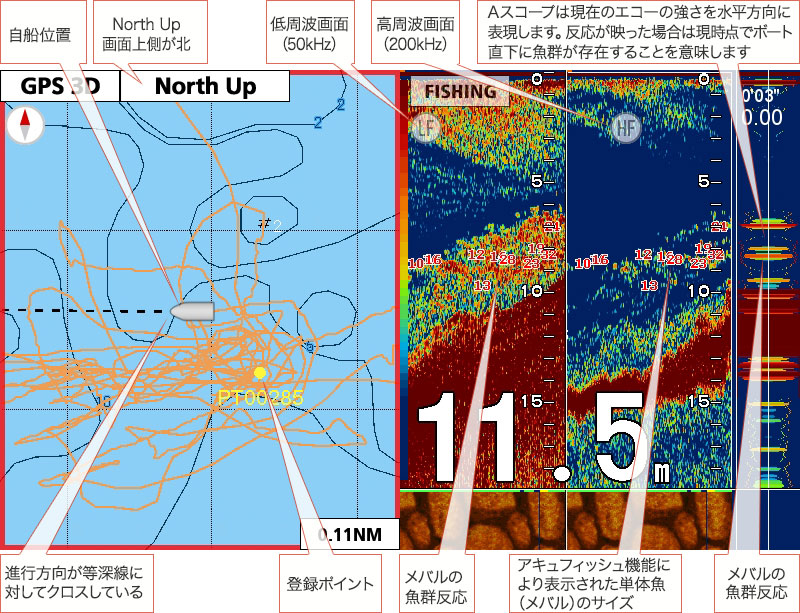 メバルを追う vol.7 GPS魚探映像