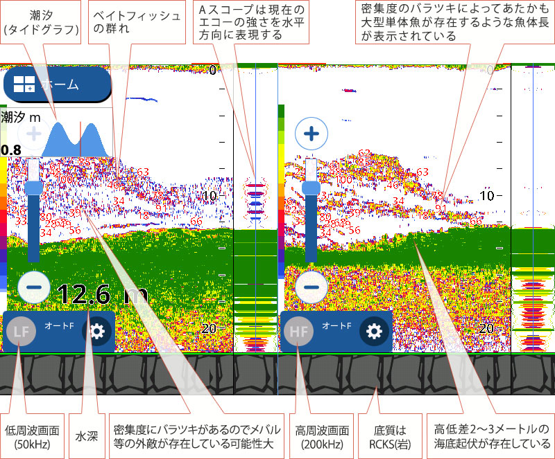 メバルを追う vol.9 GPS魚探映像