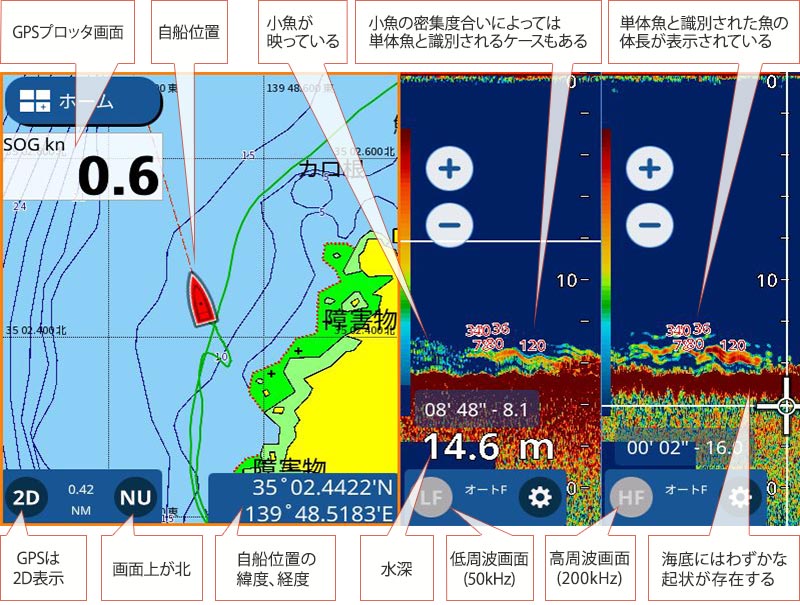 オオモンハタを追う vol.1 GPS魚探映像