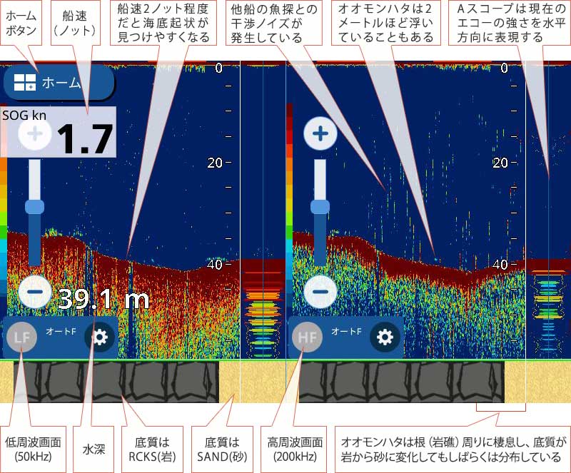 オオモンハタを追う vol.2 GPS魚探映像