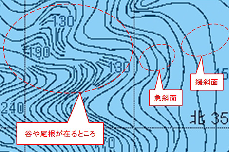 オニカサゴを追う vol.1 水中画像