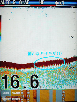 シロギスを追う vol.3 魚探映像