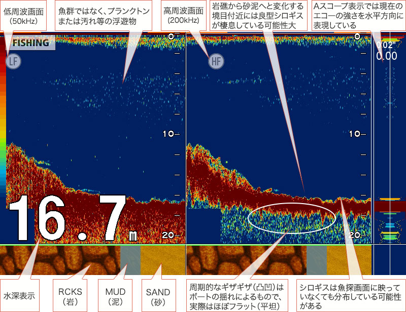 シロギスを追う vol.5 GPS魚探映像